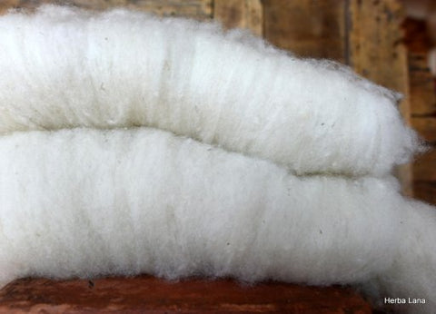 100 % Wol gekaard vlies - Herbalana