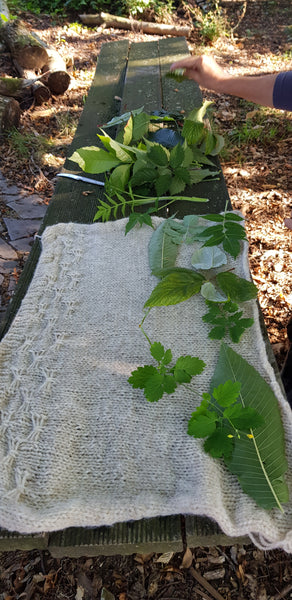 Wandel binnen: in het land van vuur, lokale planten & weefsel