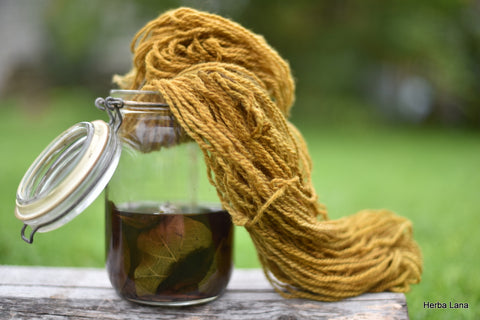 Natuurlijke verfstoffen, bloemen en zaden als basis voor je herstelprojecten - Herbalana