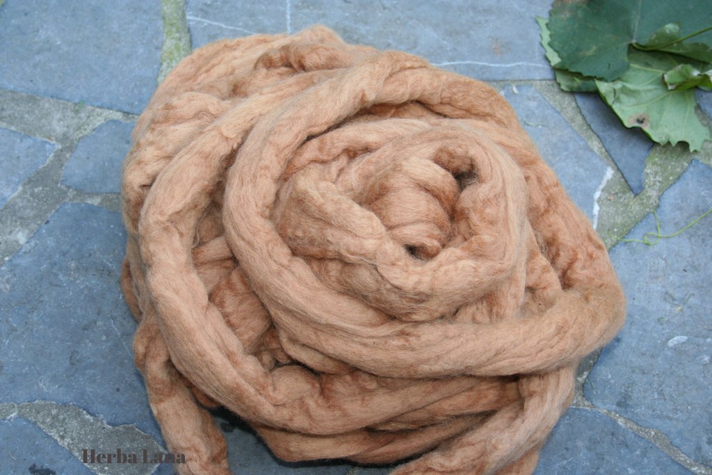 Teinture naturelle pour laine - Rose-Fuxia de Arvier - Pour la